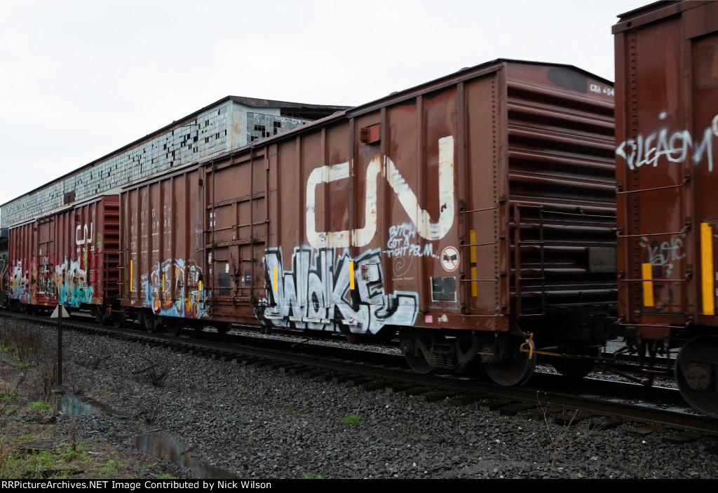 CNA 404431